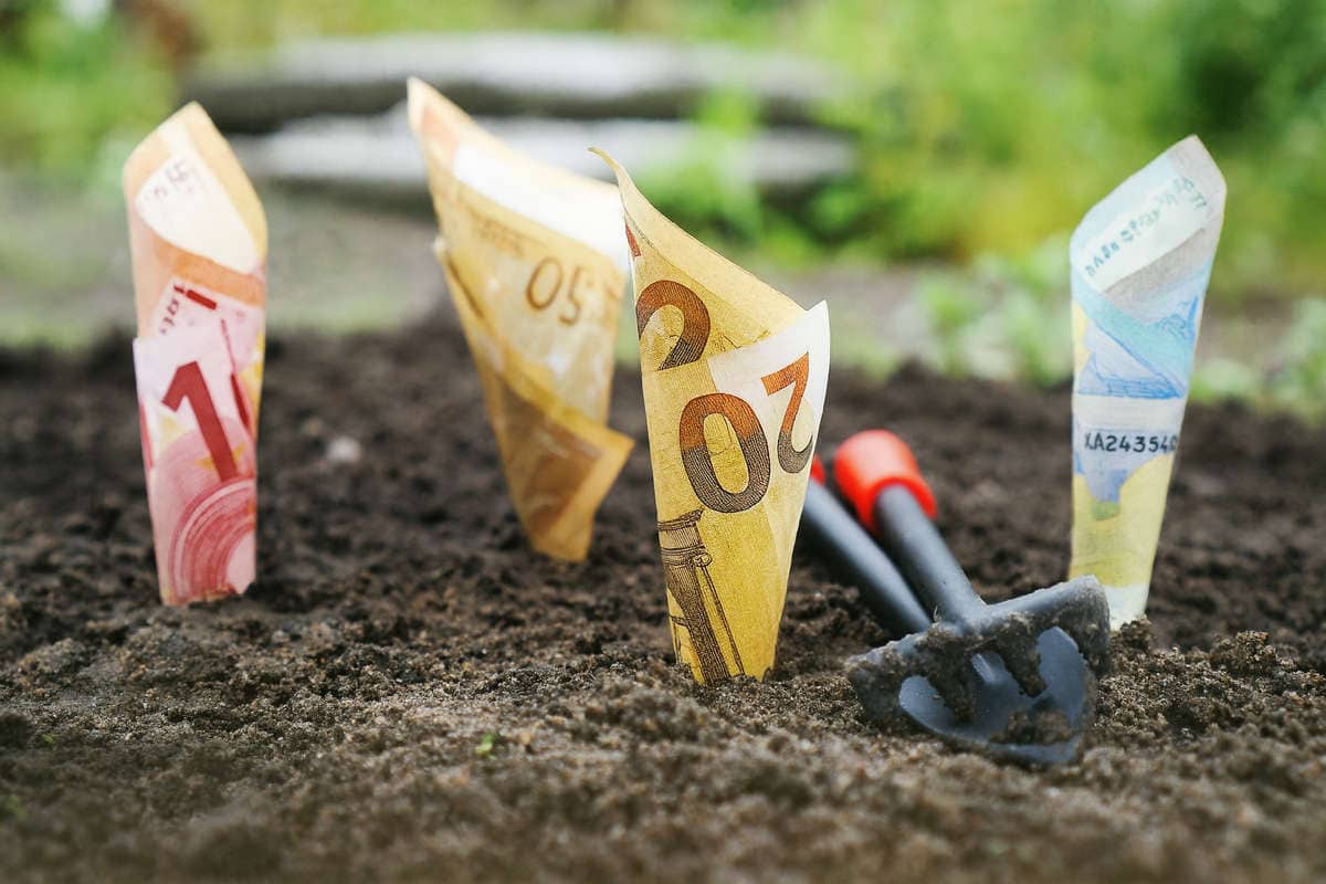 Crowdlending per PMI. Banconote in euro piantate nel terreno come semi: simbolo del crowdlending per PMI, un modello di finanziamento alternativo per la crescita delle imprese.