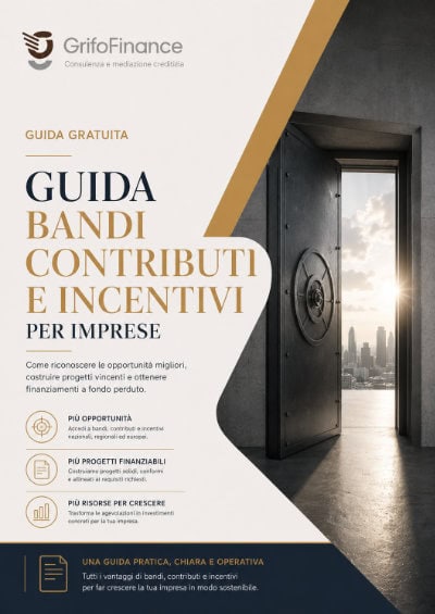 Guida a bandi, contributi e incentivi per imprese e PMI – GrifoFinance